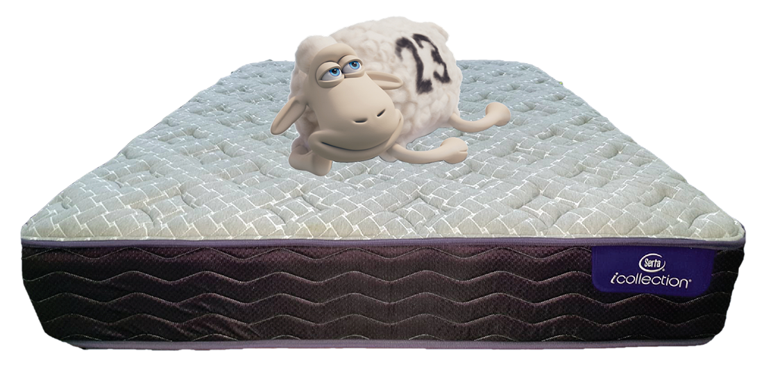 SERTA ÍCOLLECTION RENDEZVOUS CUSHION FIRM 152X203