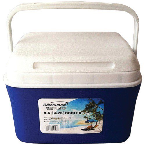 BRENTWOOD KOOLZONE CARRY ON COOLER BOX 4.5L