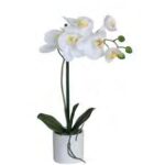 SX1156 KUNSTPLANT 35CM