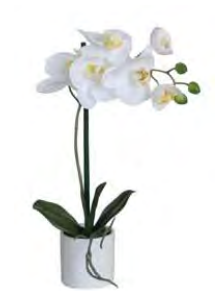 SX1156 KUNSTPLANT 35CM